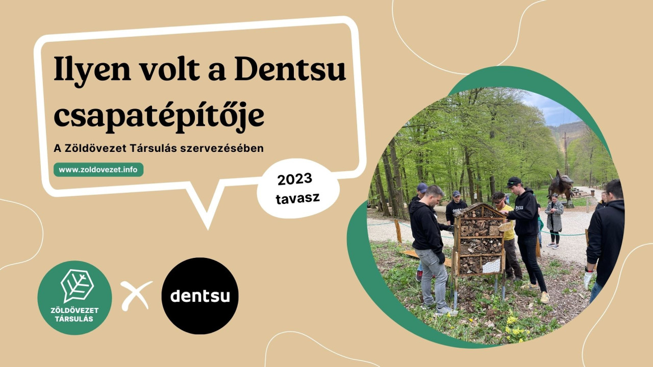 dentsu csapatépítő