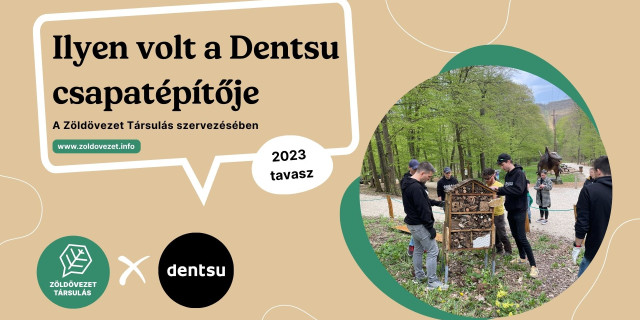 dentsu csapatépítő